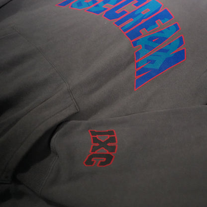 Billionaire Boys Club Vintage "Ice Cream" Spellout Hoodie (M.I. Japan) (L)